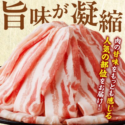 宮崎県産 豚バラスライス 計1kg【T009-0116】