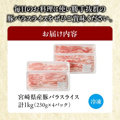 宮崎県産 豚バラスライス 計1kg【T009-0116】