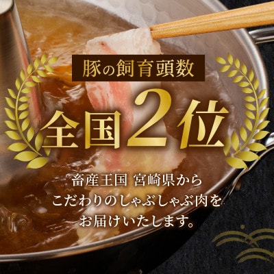 宮崎県産 豚バラ しゃぶしゃぶ用(計1kg) 【T009-0136】