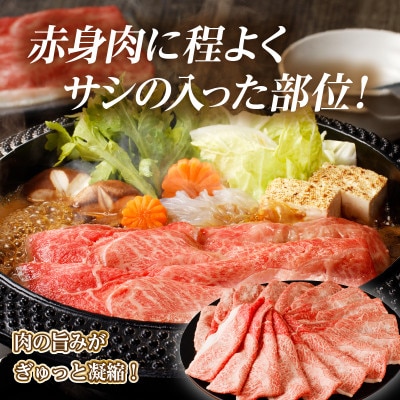 「宮崎牛 肩(ウデ)すき焼き用」計500g【T009-0146】