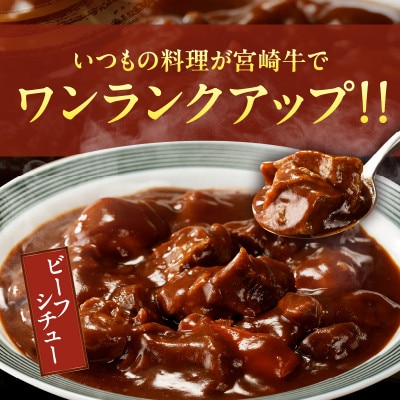 宮崎牛 角切り肉(煮込み用) 計1kg 【T009-0295】