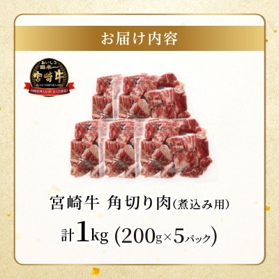 宮崎牛 角切り肉(煮込み用) 計1kg 【T009-0295】