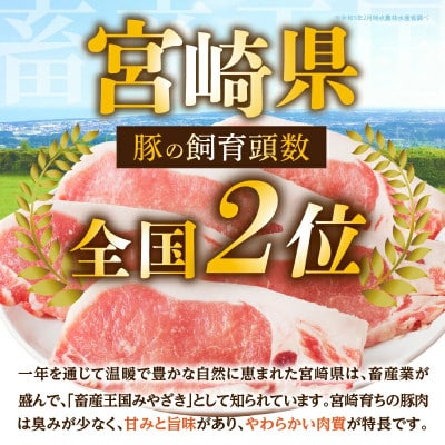 ≪宮崎県産≫豚肉6種『てげスゲーセット』合計4.5kg【T009-0325】