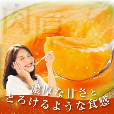 【先行予約】夏用 都農町産「赤肉メロン」計2玉【T015-0065-N】(都農町)