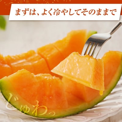 【先行予約】夏用 都農町産「赤肉メロン」計2玉【T015-0065-N】(都農町)