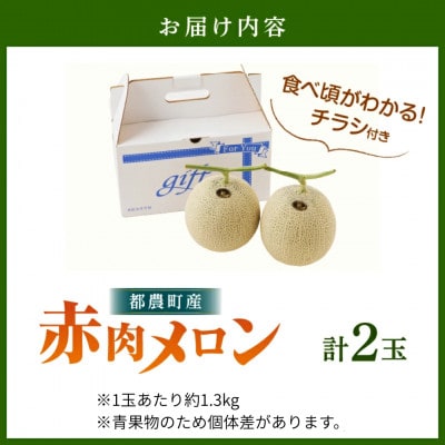 【先行予約】夏用 都農町産「赤肉メロン」計2玉【T015-0065-N】(都農町)