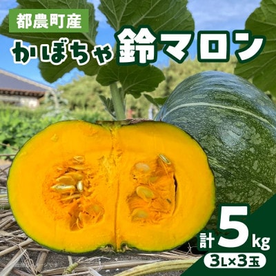 【先行予約】都農町産かぼちゃ「鈴マロン」計5kg カボチャ【T015-0075】