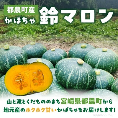 【先行予約】都農町産かぼちゃ「鈴マロン」計5kg カボチャ【T015-0075】
