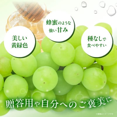 【先行予約】都農町産 ハニービーナス(計2kg) ぶどう【T015-0035】(都農町)