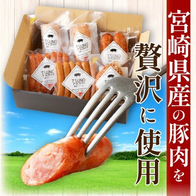 都農ファーム厳選「ウインナー・ハム6点セット」合計860g 【T020-0015】