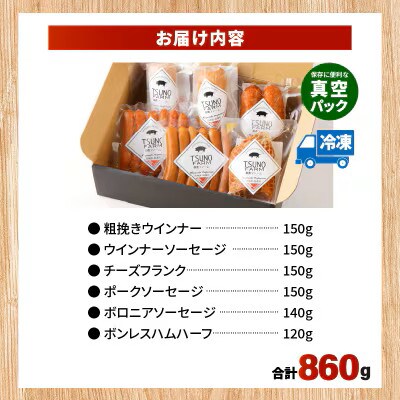 都農ファーム厳選「ウインナー・ハム6点セット」合計860g 【T020-0015】