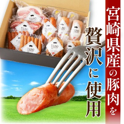 都農ファーム厳選「ウインナー・ハム9点セット」合計 約1.7kg【T020-0025】