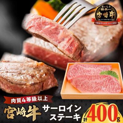 宮崎牛サーロインステーキ(計400g)【T050-0015】