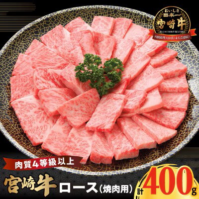 宮崎牛ロース(焼肉用)計400g【T050-0035】