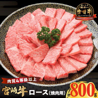 宮崎牛ロース(焼肉用)計800g【T050-0045】
