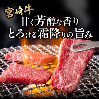 宮崎牛ロース(焼肉用)計800g【T050-0045】