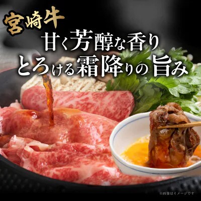 宮崎牛ローススライス(計800g)【T050-0065】