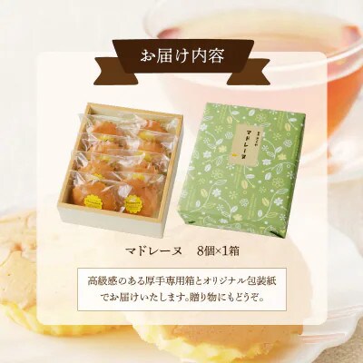 老舗菓子舗のマドレーヌ 計8個 焼き菓子【T035-0015】