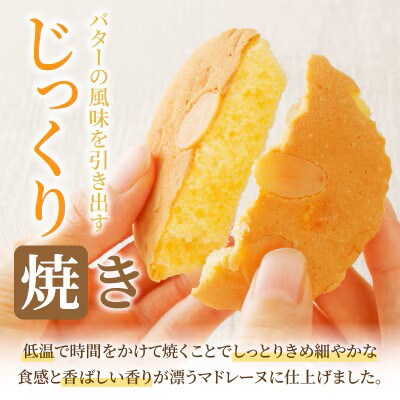 老舗菓子舗のマドレーヌ計10個 焼き菓子【T035-0025】