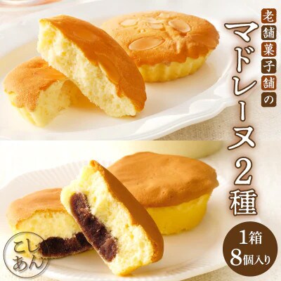老舗菓子舗のマドレーヌ2種セット(合計8個) 焼き菓子【T035-0055】