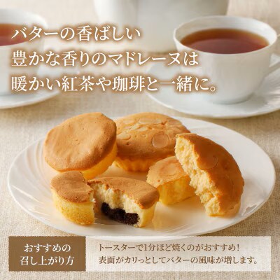 老舗菓子舗のマドレーヌ2種セット(合計8個) 焼き菓子【T035-0055】