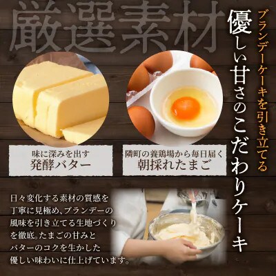 老舗菓子舗のブランデーケーキ 1本【T035-0095】