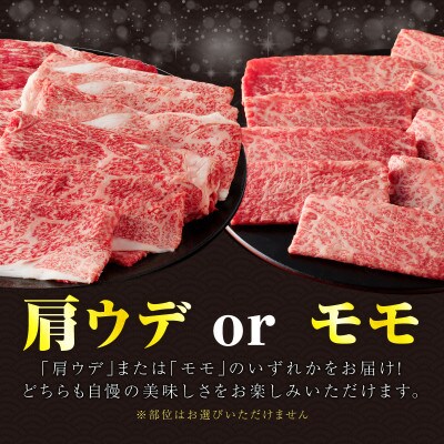 【肉質等級4等級以上】宮崎県産 黒毛和牛 赤身スライス(計1kg) 【T030-0895】(都農町)