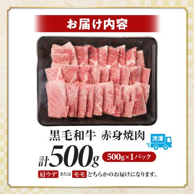 【肉質等級4等級以上】宮崎県産 黒毛和牛 赤身焼肉(計500g)【T030-0925】(都農町)