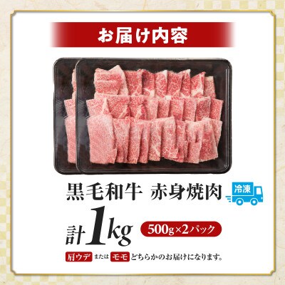 【肉質等級4等級以上】宮崎県産 黒毛和牛 赤身焼肉(計1kg) 【T030-0935】(都農町)