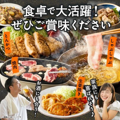 宮崎県産 豚肉 6種盛り合わせセット(合計4.1kg)【T030-2045】(都農町)