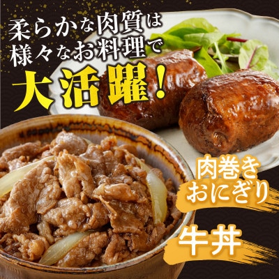 【肉質等級4等級以上】宮崎県産 黒毛和牛 赤身スライス(計2.5kg)【T030-2115】