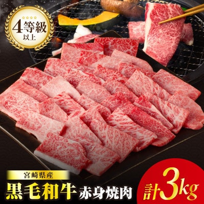 【肉質等級4等級以上】宮崎県産 黒毛和牛 赤身焼肉(計3kg)【T030-2145】(都農町)
