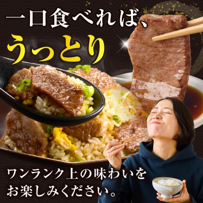 【肉質等級4等級以上】宮崎県産 黒毛和牛 赤身焼肉(計3kg)【T030-2145】(都農町)