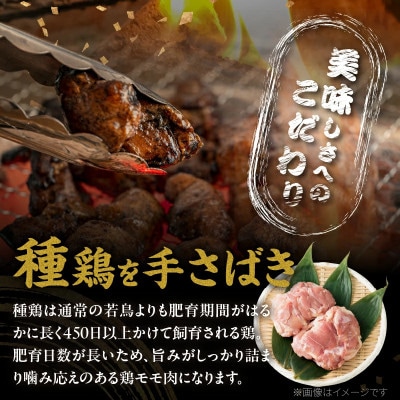 【温めるだけでお店の味】鶏モモ 炭火焼き(計900g)鶏肉【T046-0015】(都農町)