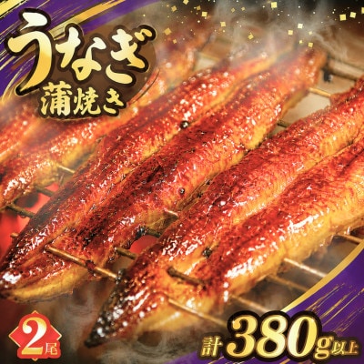 うなぎ 蒲焼 2尾(計約380g)【T026-0065】(都農町)