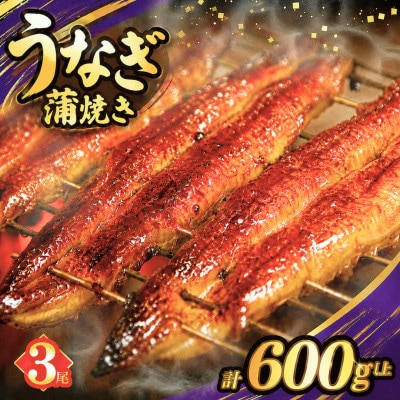 うなぎ 蒲焼 3尾(計約600g)【T026-0146】(都農町)