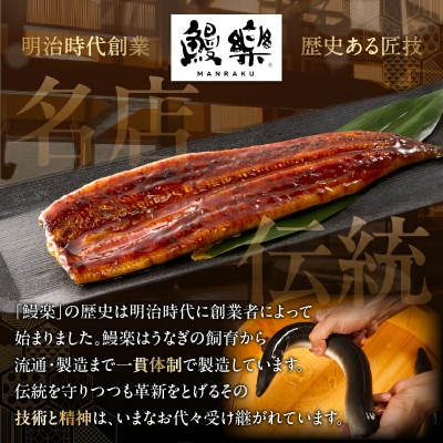 うなぎ 蒲焼 3尾(計約600g)【T026-0146】(都農町)
