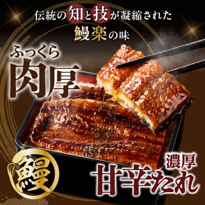 うなぎ 蒲焼 3尾(計約600g)【T026-0146】(都農町)