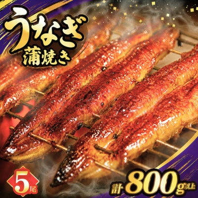 うなぎ 蒲焼 5尾(計約800g)【T026-0036】(都農町)
