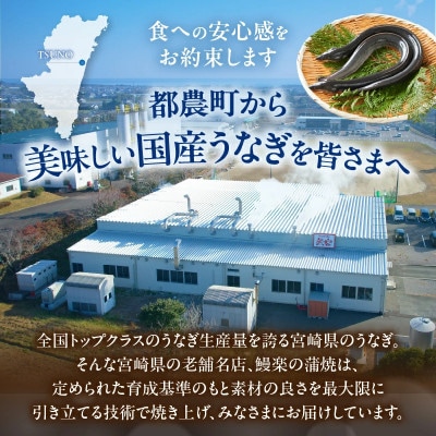 うなぎ 蒲焼 5尾(計約800g)【T026-0036】(都農町)