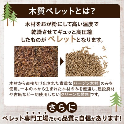 都農町製造『木質ペレット(全木ペレット) 10kg』計1袋 杉 檜【T058-008】