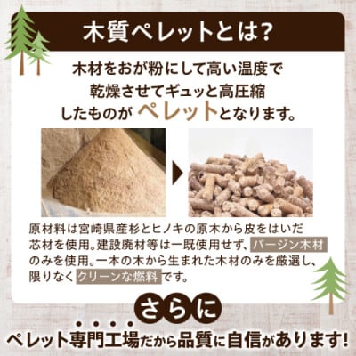 都農町製造『木質ペレット(ホワイトペレット) 10kg』計1袋 杉 檜【T058-007】