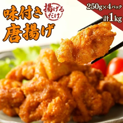 揚げるだけ!!味付き唐揚げ(計1kg)【T006-0015】(都農町)