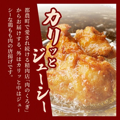 揚げるだけ!!味付き唐揚げ(計1kg)【T006-0015】(都農町)