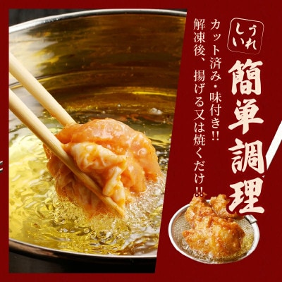 揚げるだけ!!味付き唐揚げ(計1kg)【T006-0015】(都農町)