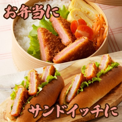 ハムカツ(計20枚)【T006-0035】(都農町)