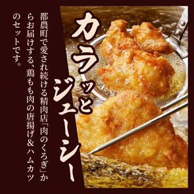 簡単調理!!唐揚げ&ハムカツセット(合計8パック)【T006-0055】(都農町)