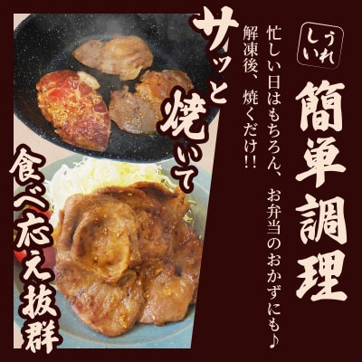 焼くだけ!!味付き生姜焼き(計1kg)【T006-0065】(都農町)
