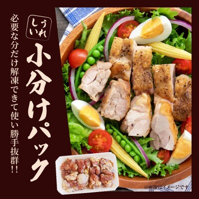 焼くだけ!!スパイシーチキン(計1kg) 【T006-0075】(都農町)