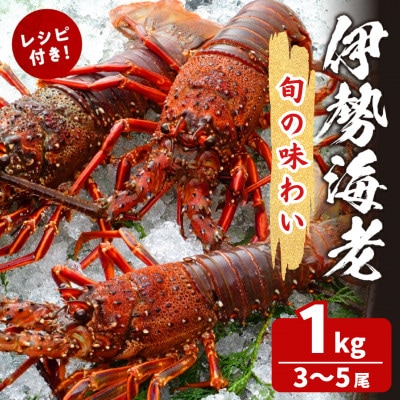 【旬の海幸!!】伊勢海老 (約1kg)【T013-0015】
